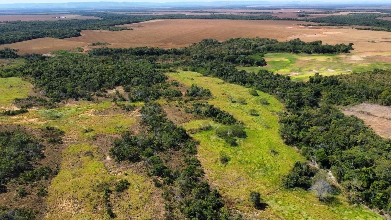 Fazenda de Dupla Aptidão - Silvanópolis  - Foto 3