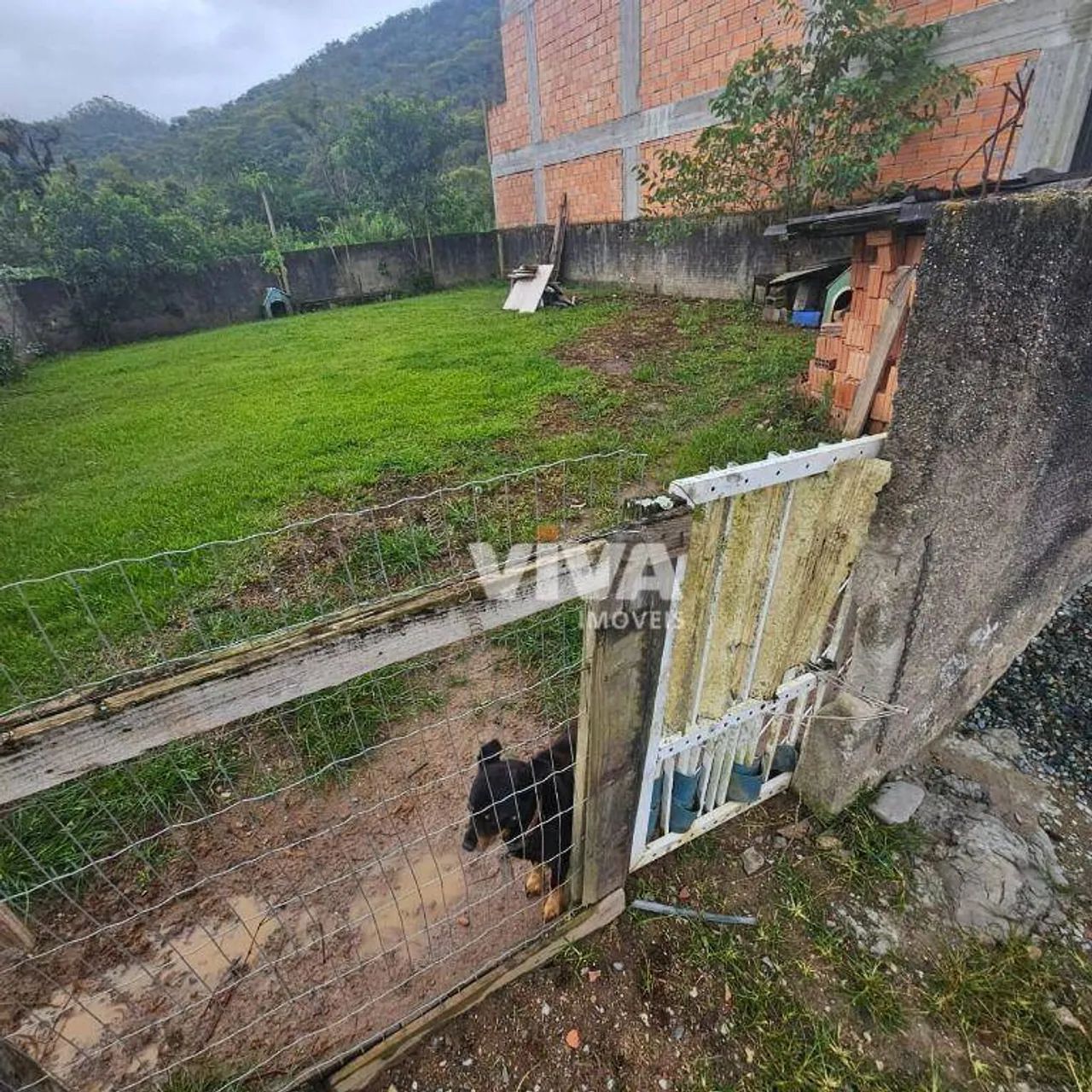 Espinheiros - Terreno - Foto 2
