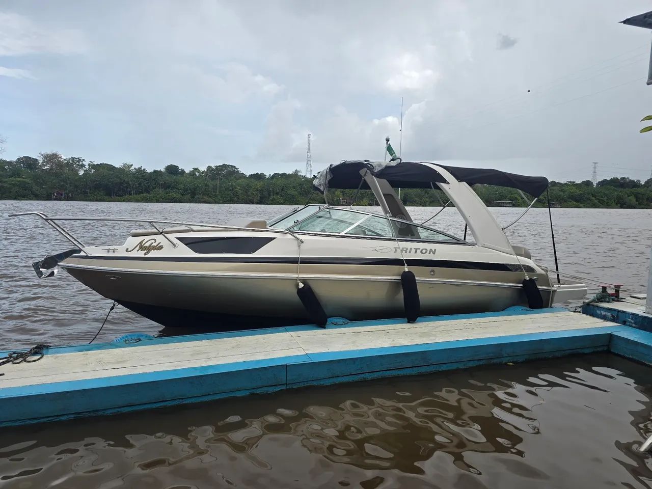 Lancha Triton 230  - Foto 3