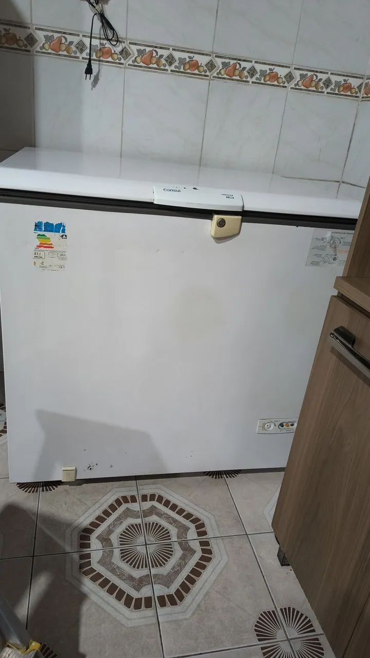 Freezer 309 litros