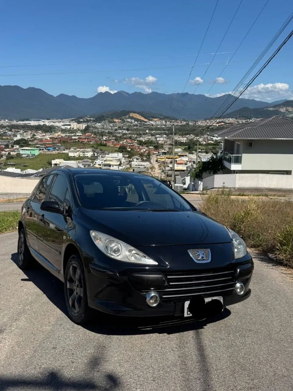 Peugeot 307 307 Feline/Griff/Premi. 2.0 Flex 5p Aut. 2008