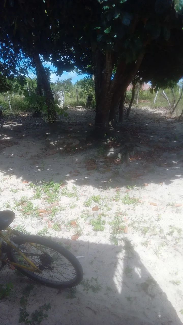Limpeza - Foto 3