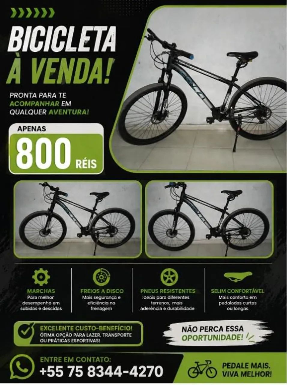 Bicicleta 
