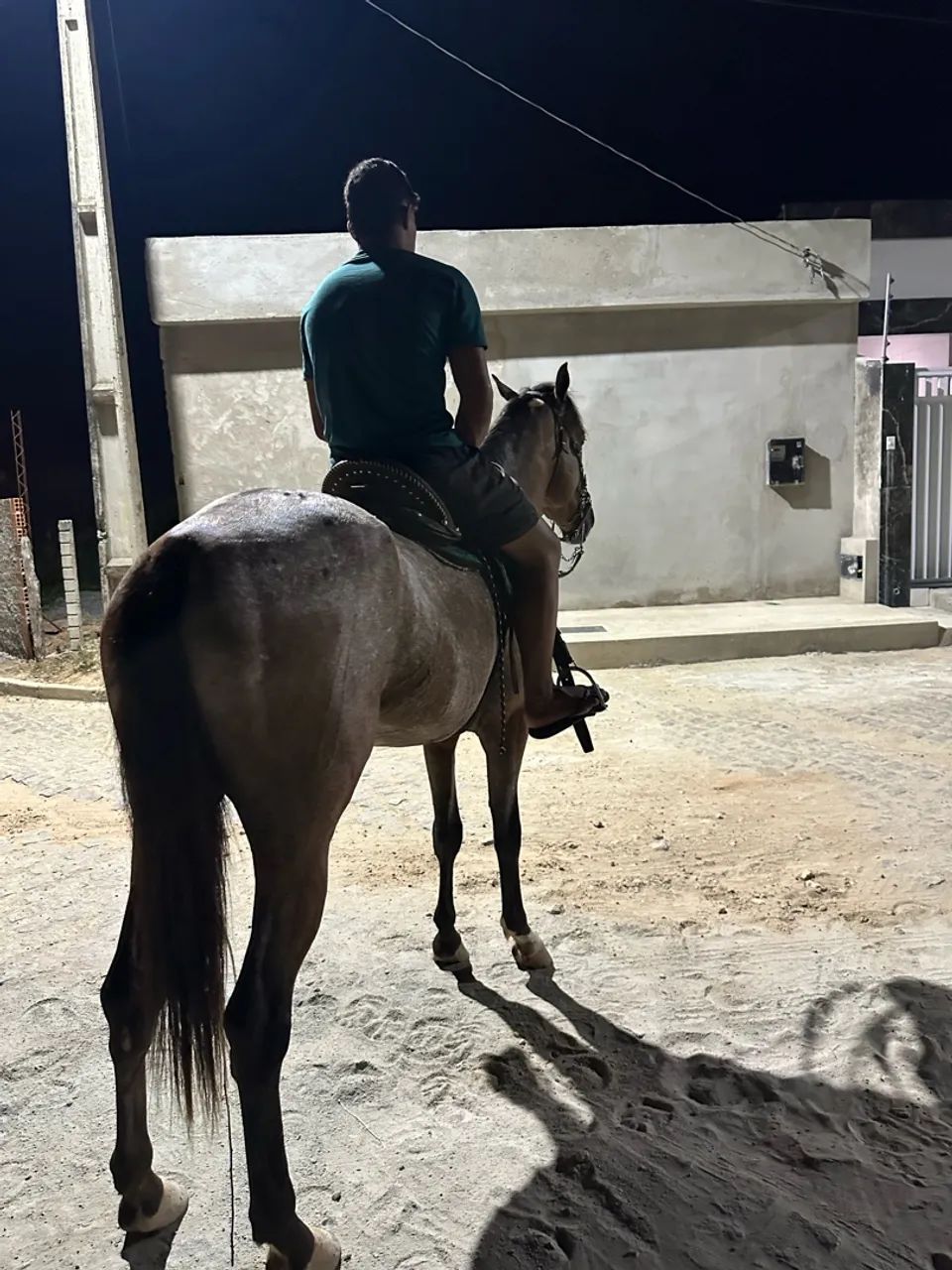 Potro  - Foto 3