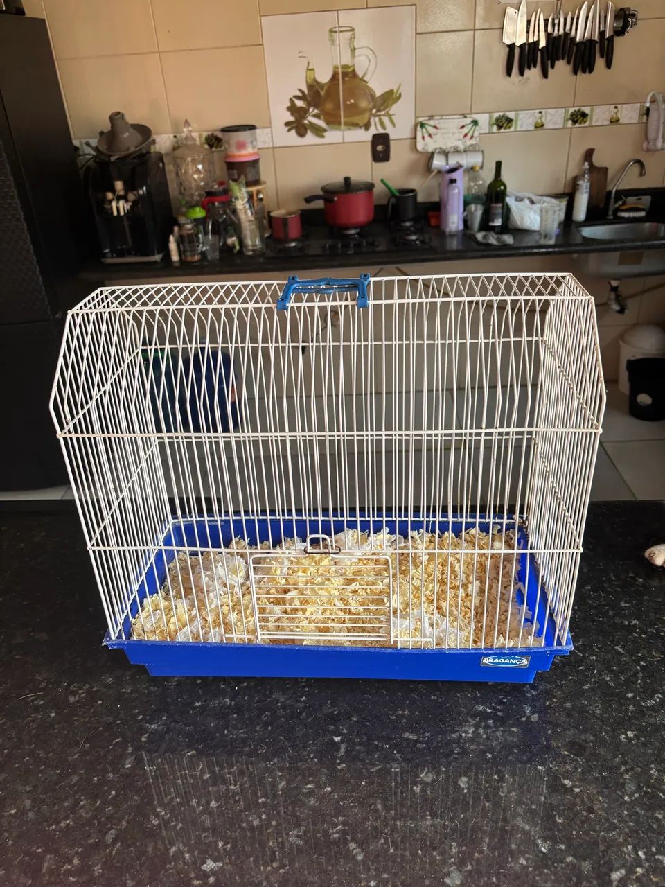 Gaiola Hamster tudo incluso