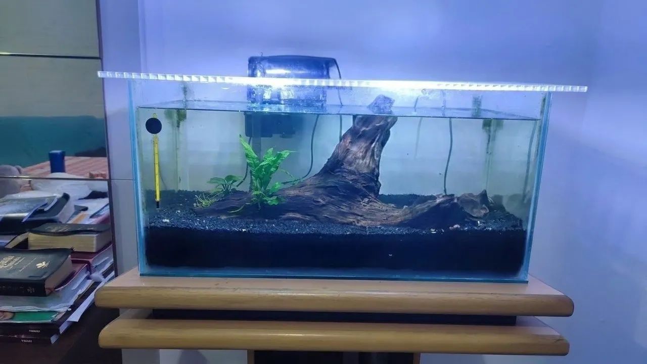 Aquário e Móvel  - Foto 2