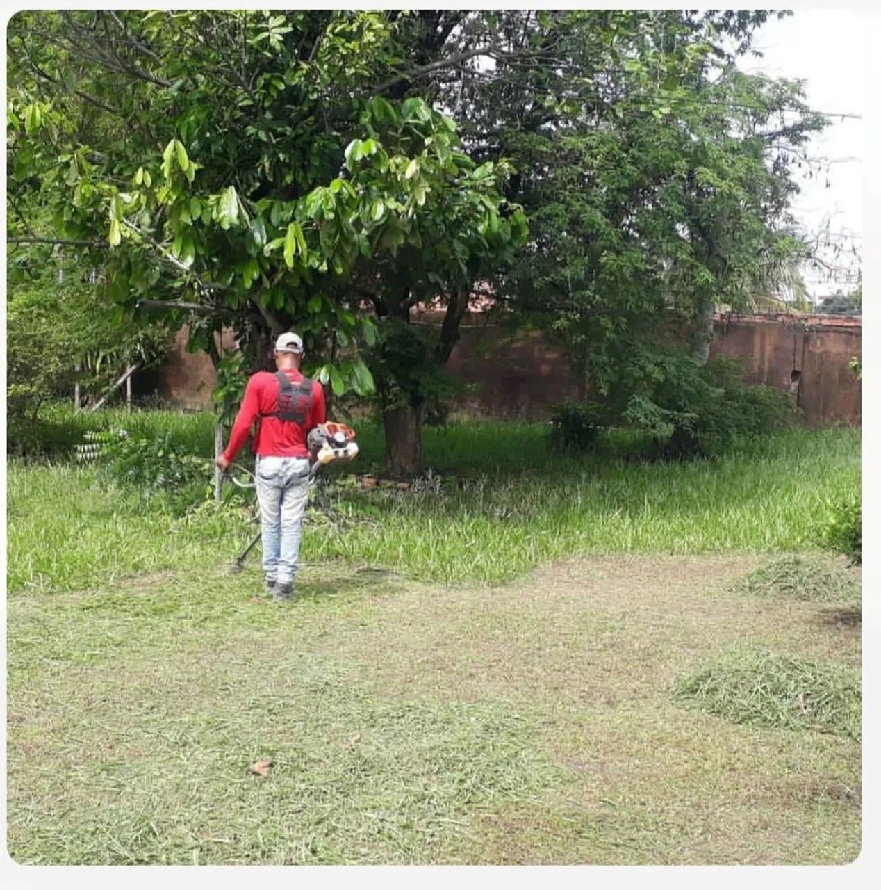 Jardineiro 