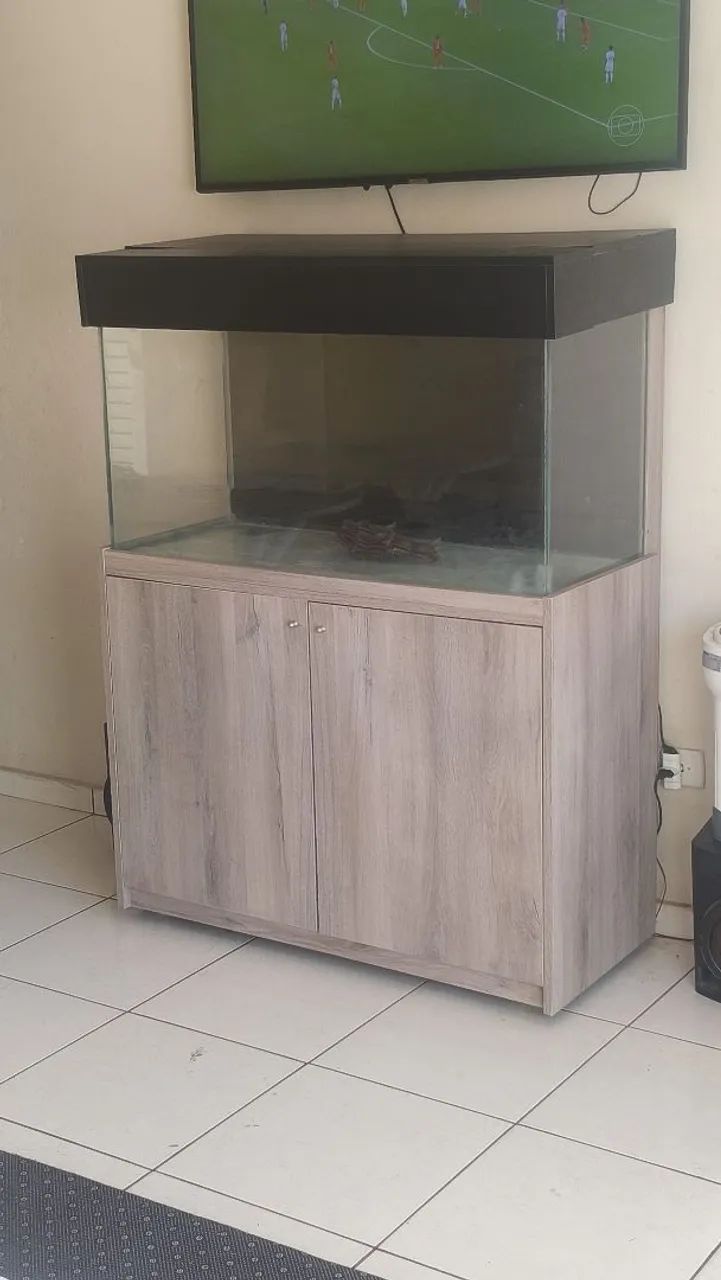 Aquário 