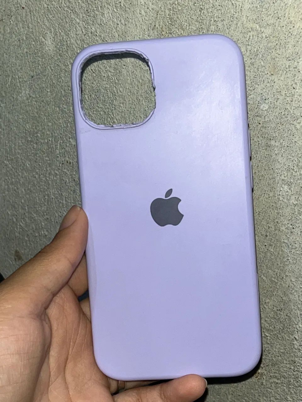 Case iPhone 13 