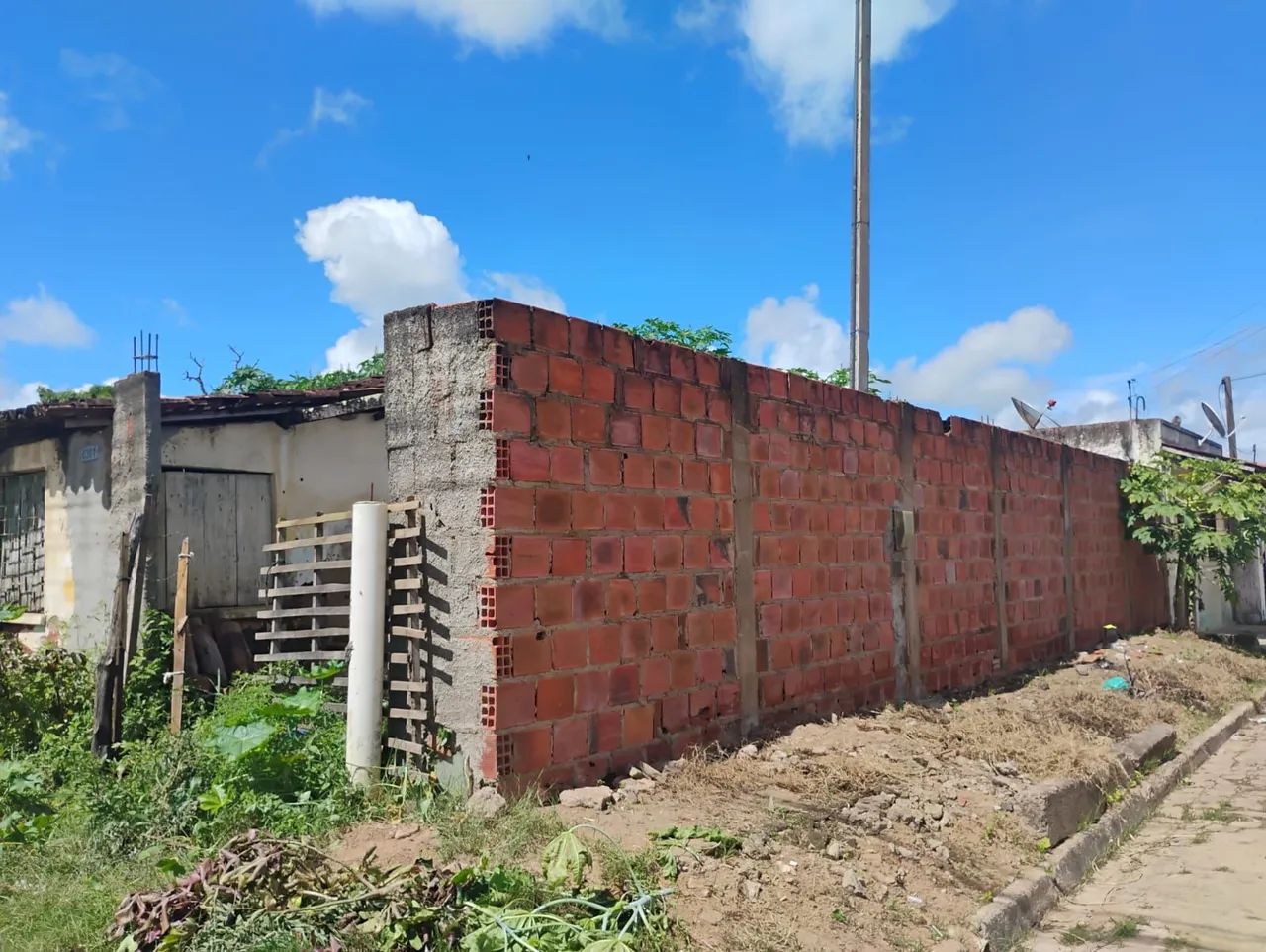 Terreno de esquina em palmeira dos índios  - Foto 5