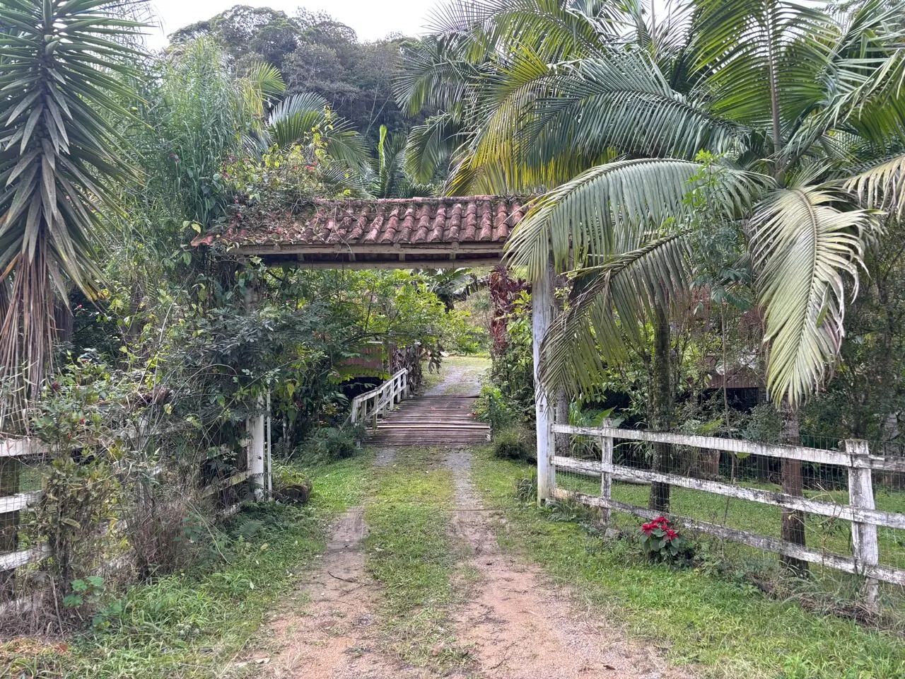 Sítio à venda em Águas Mornas SC