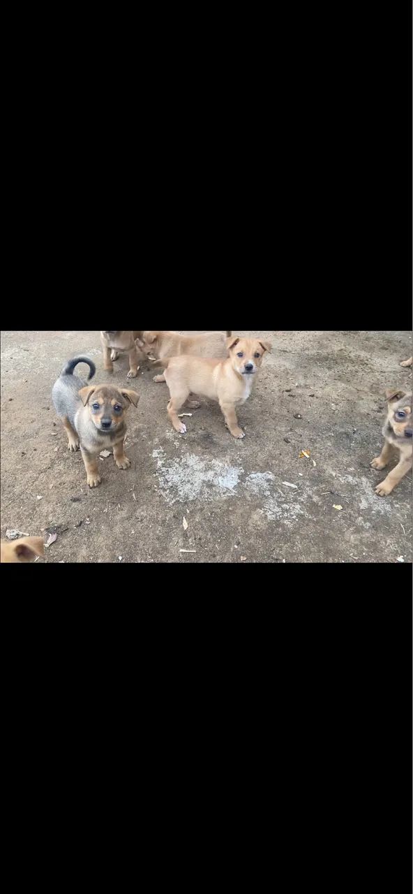 Doação  - Foto 2