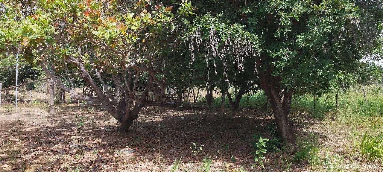 Vendo lindo sitio - Foto 4