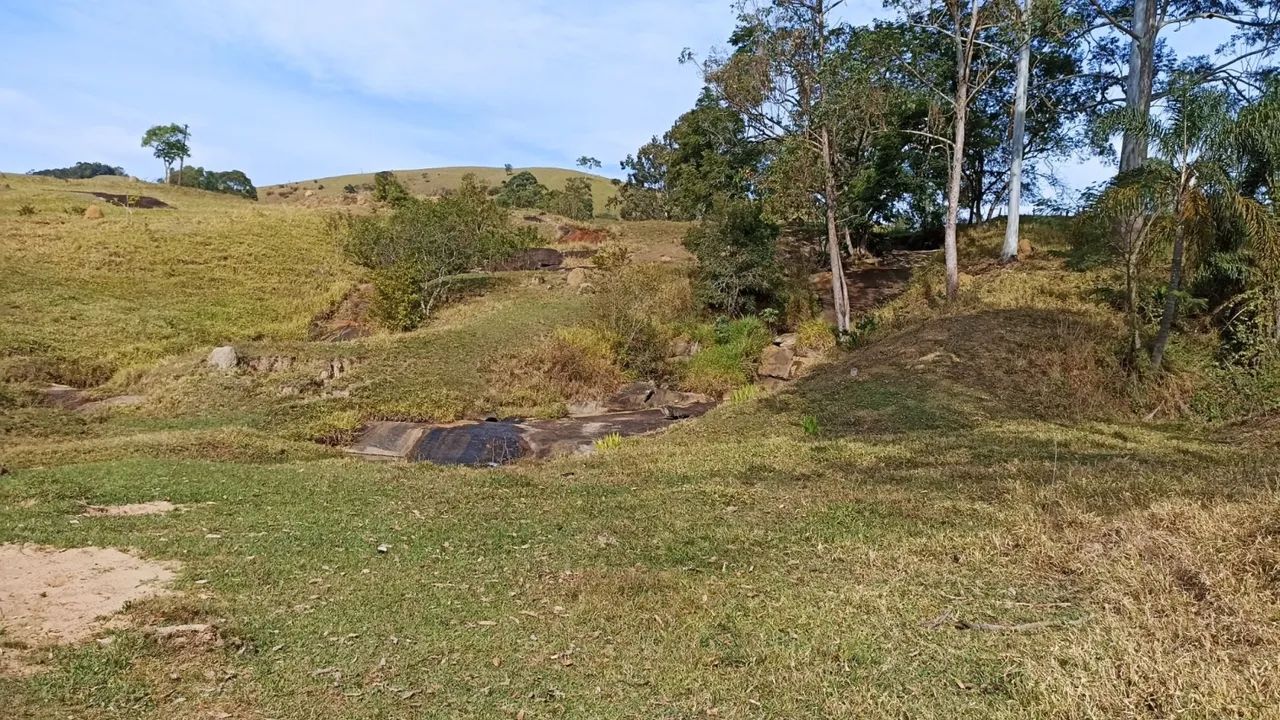 Sitio em jambeiro ótimo pra gado de corte e lazer - Foto 3