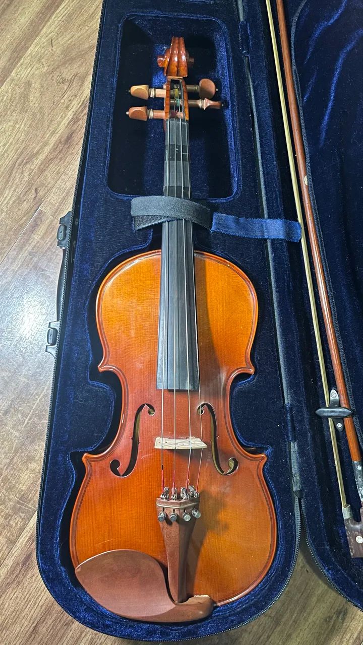 Violino Eagle VE-144 4/4 Com Case - Foto 2