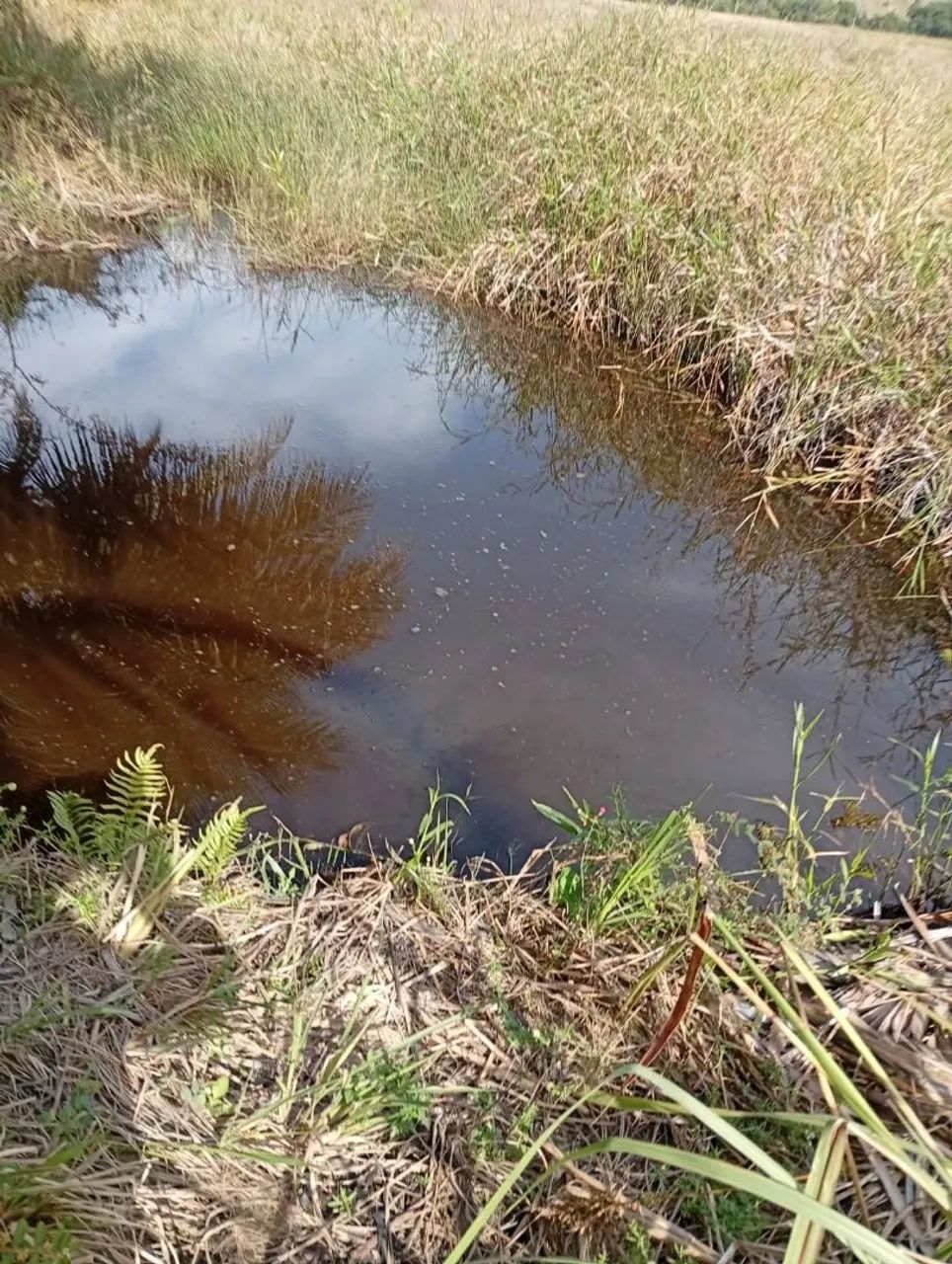 WCM - Chacara Praia da Baleia Vila Velha 300.000,00 - Foto 4