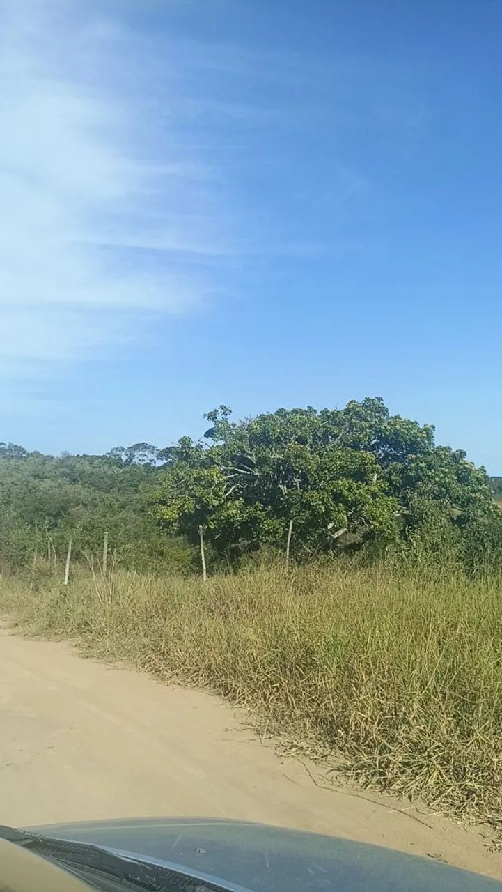 Terreno  - Foto 3