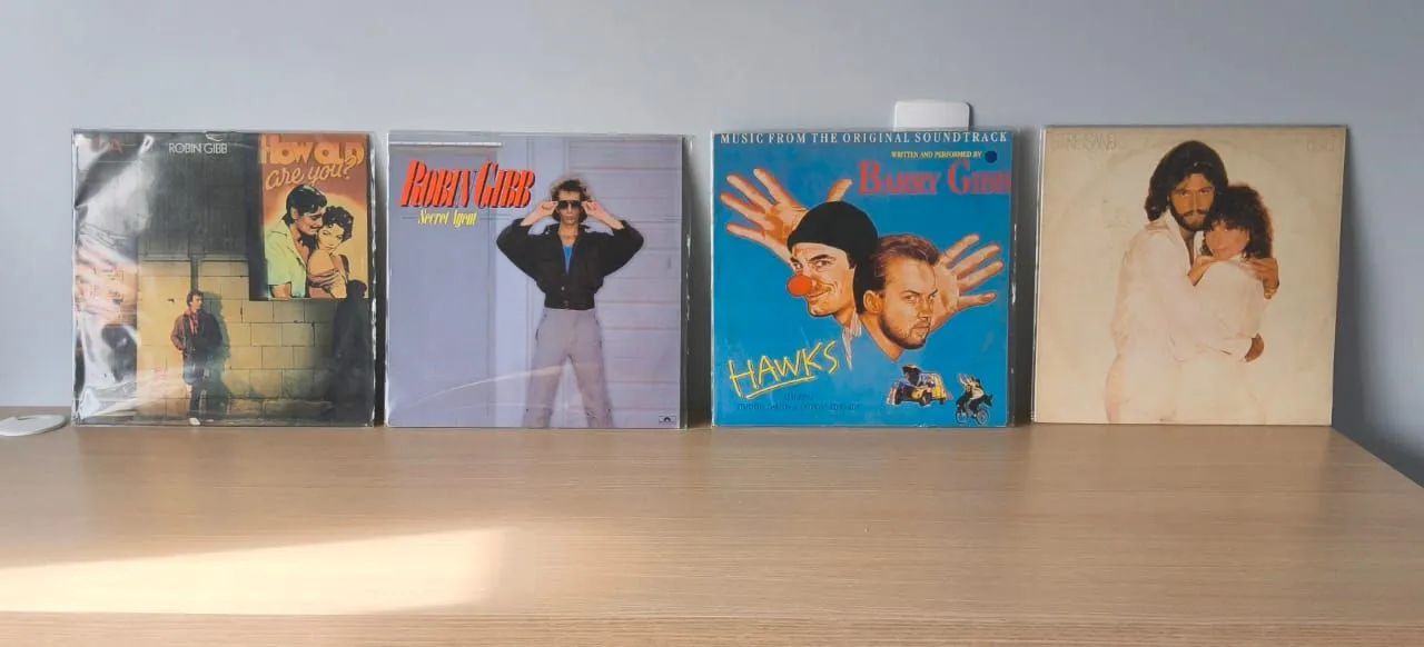 Coleção Vinil The Bee Gees + Brindes - Foto 5