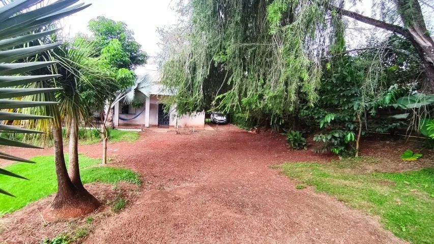 Foto - Londrina - Usina Três Bocas