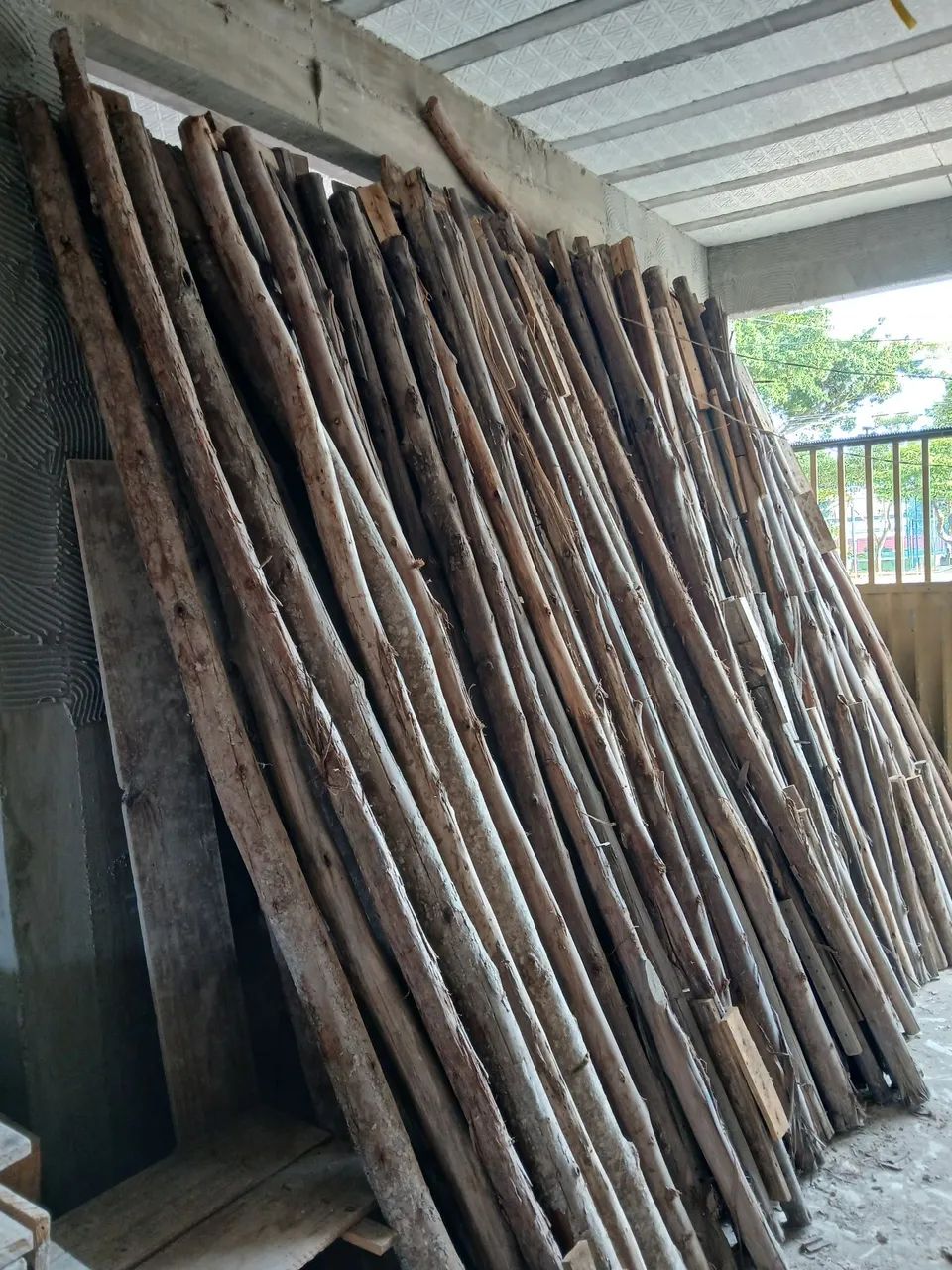 Escoras de eucalipto