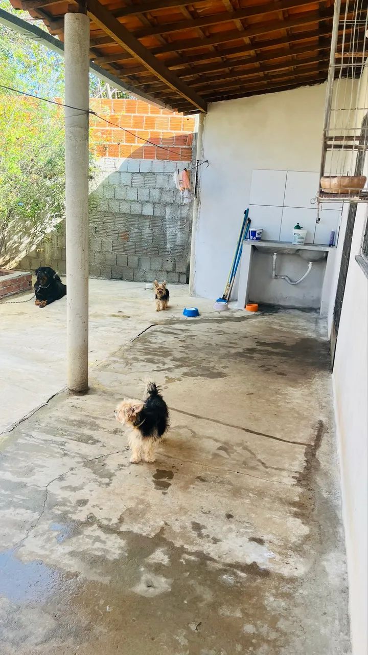 Vendo casa com piscina. 