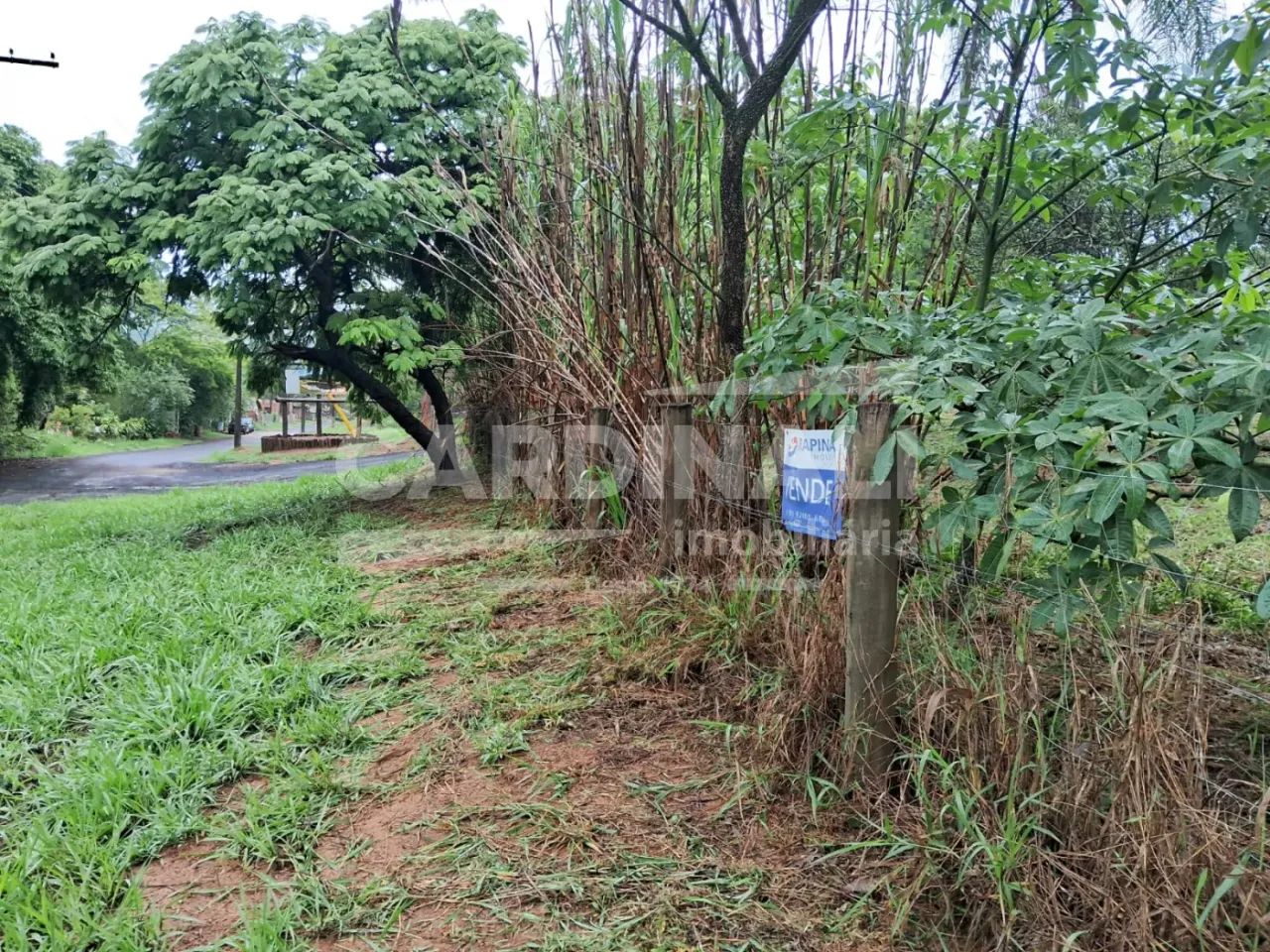3 lotes juntos em Itirapina, esquina - Foto 4