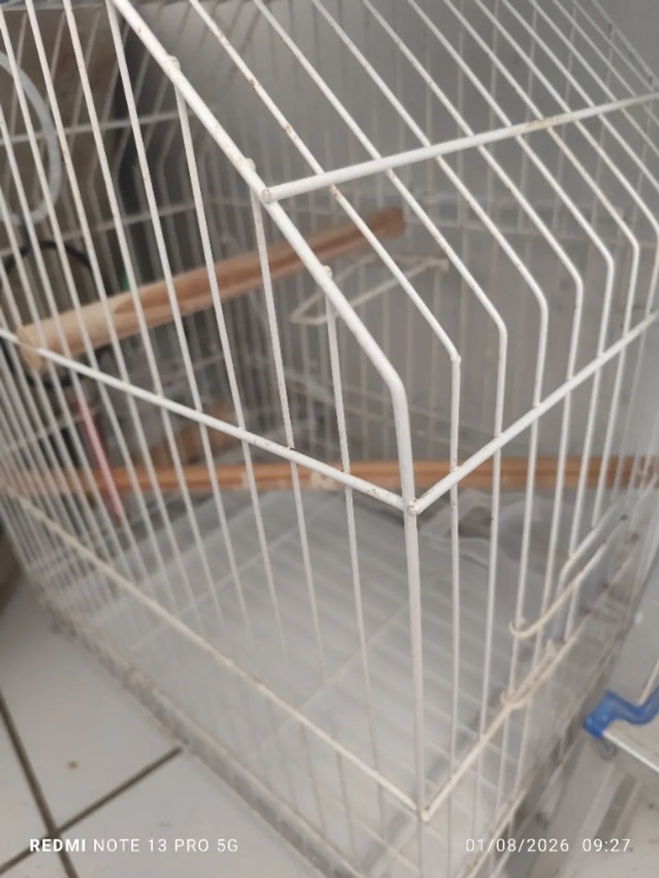Gaiola calopsita e de hamster 