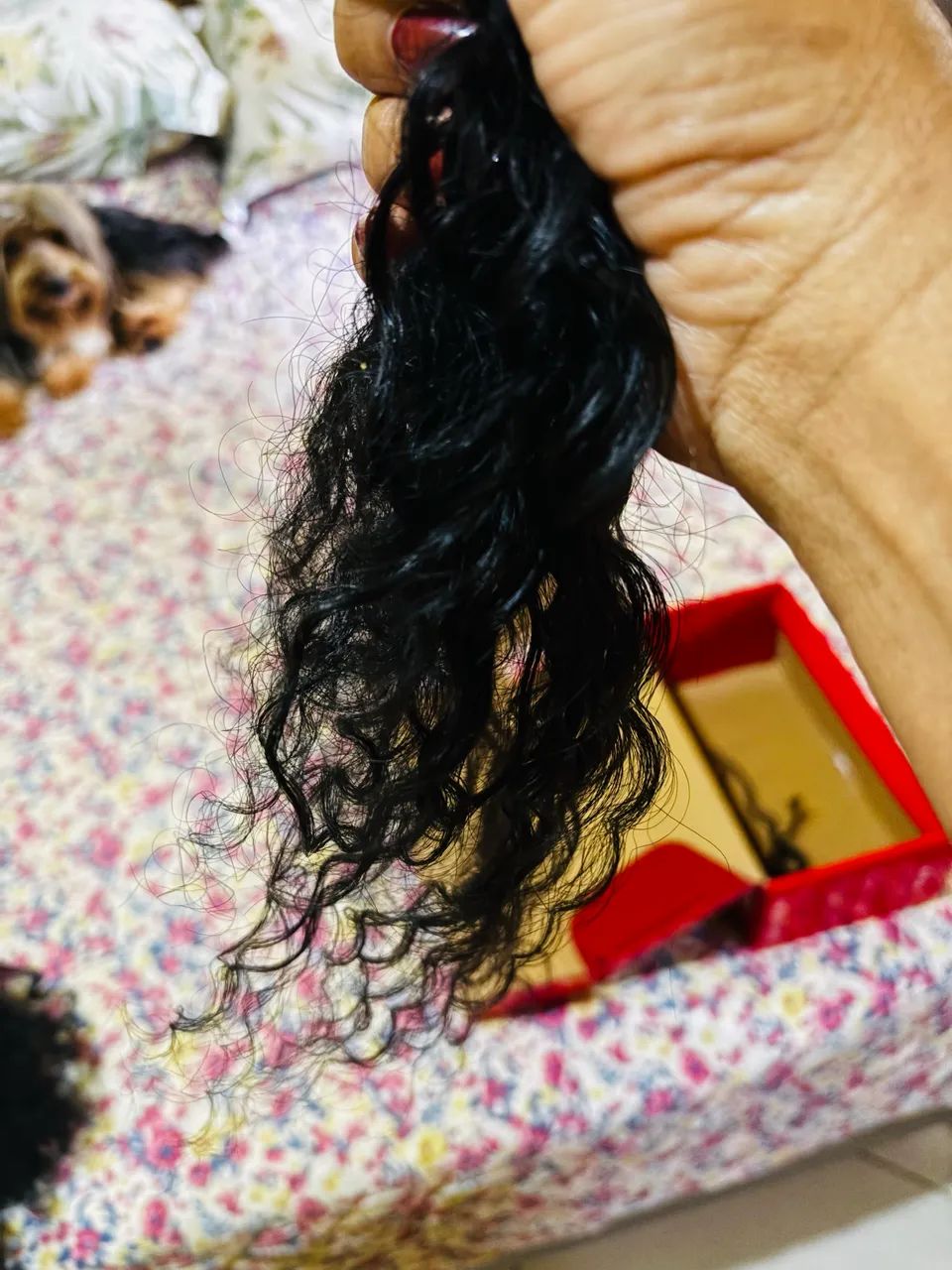 Cabelo humano indiano - Foto 4