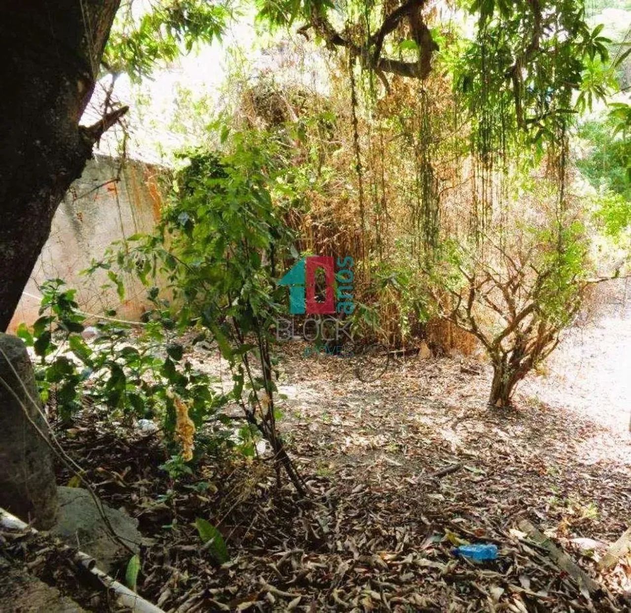 Freguesia (Jacarepaguá) | Terreno - Foto 5