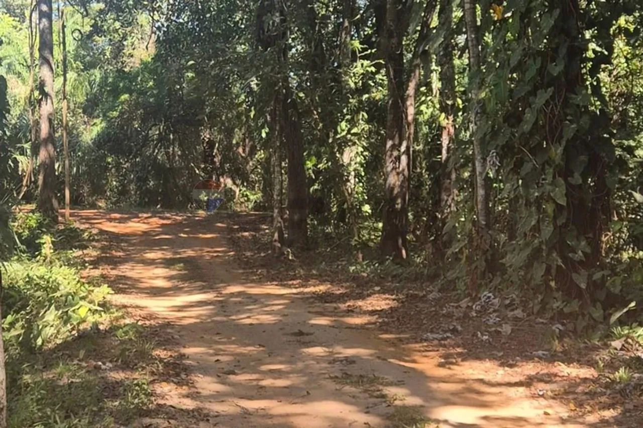 "Chácara dos Sonhos: Natureza e Tranquilidade" - Foto 2