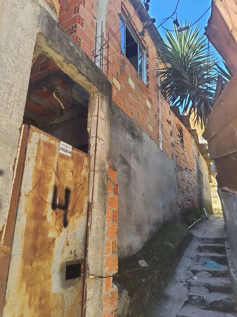 Vinícius  - Foto 2