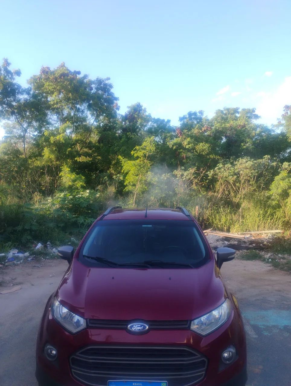 Ford Ecosport EcoSport FREESTYLE 2.0 16V Flex 5p Aut. 2015