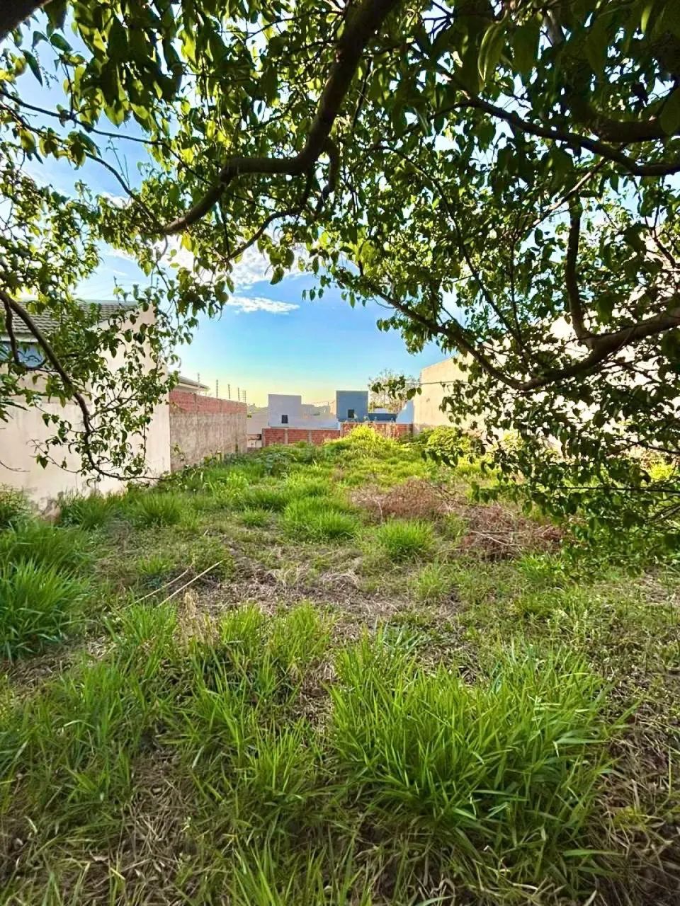 Terreno Padrão em Marialva - Foto 2