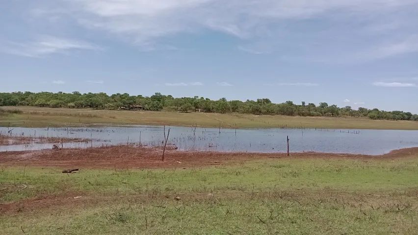 Barracão 20 m2 - Foto 5