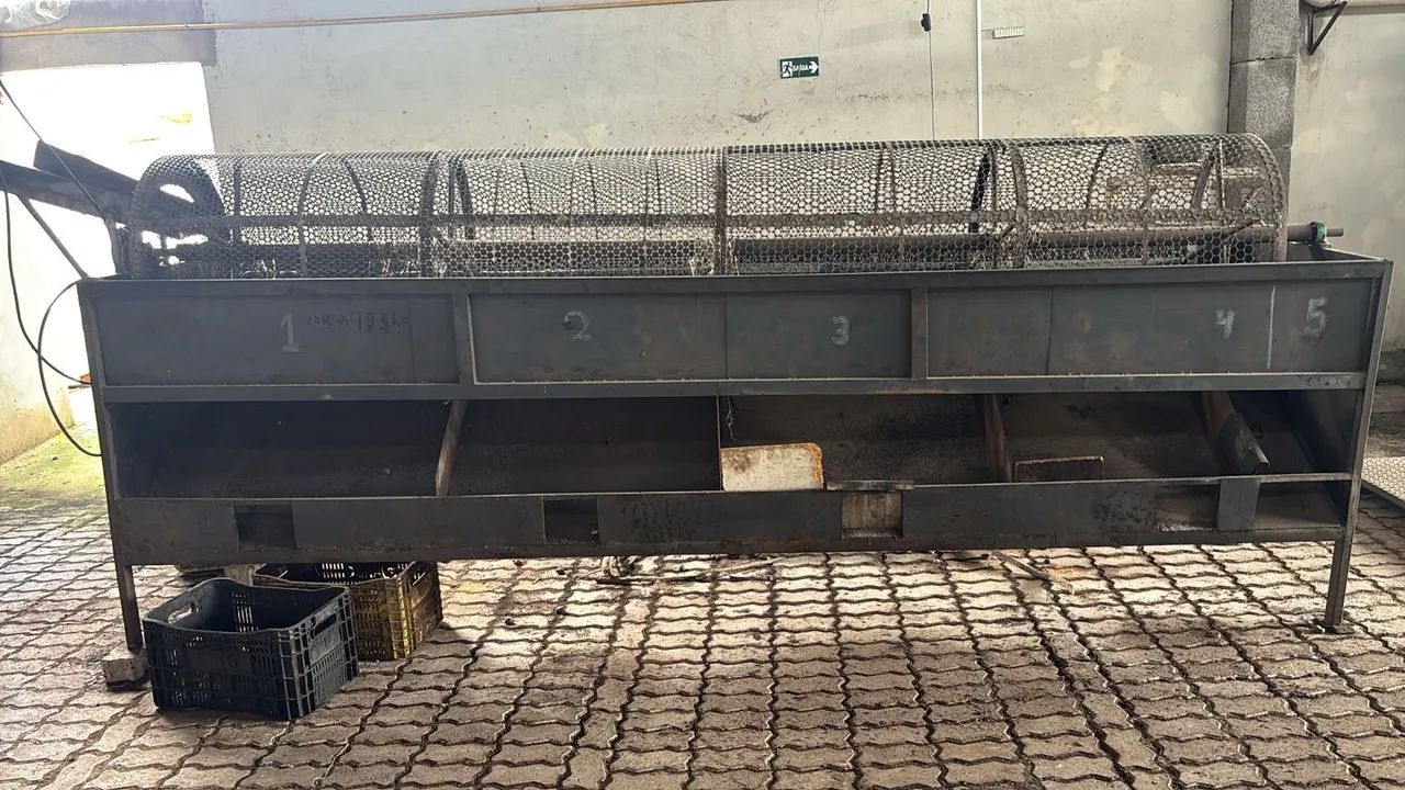 Bolador de castanha de caju 