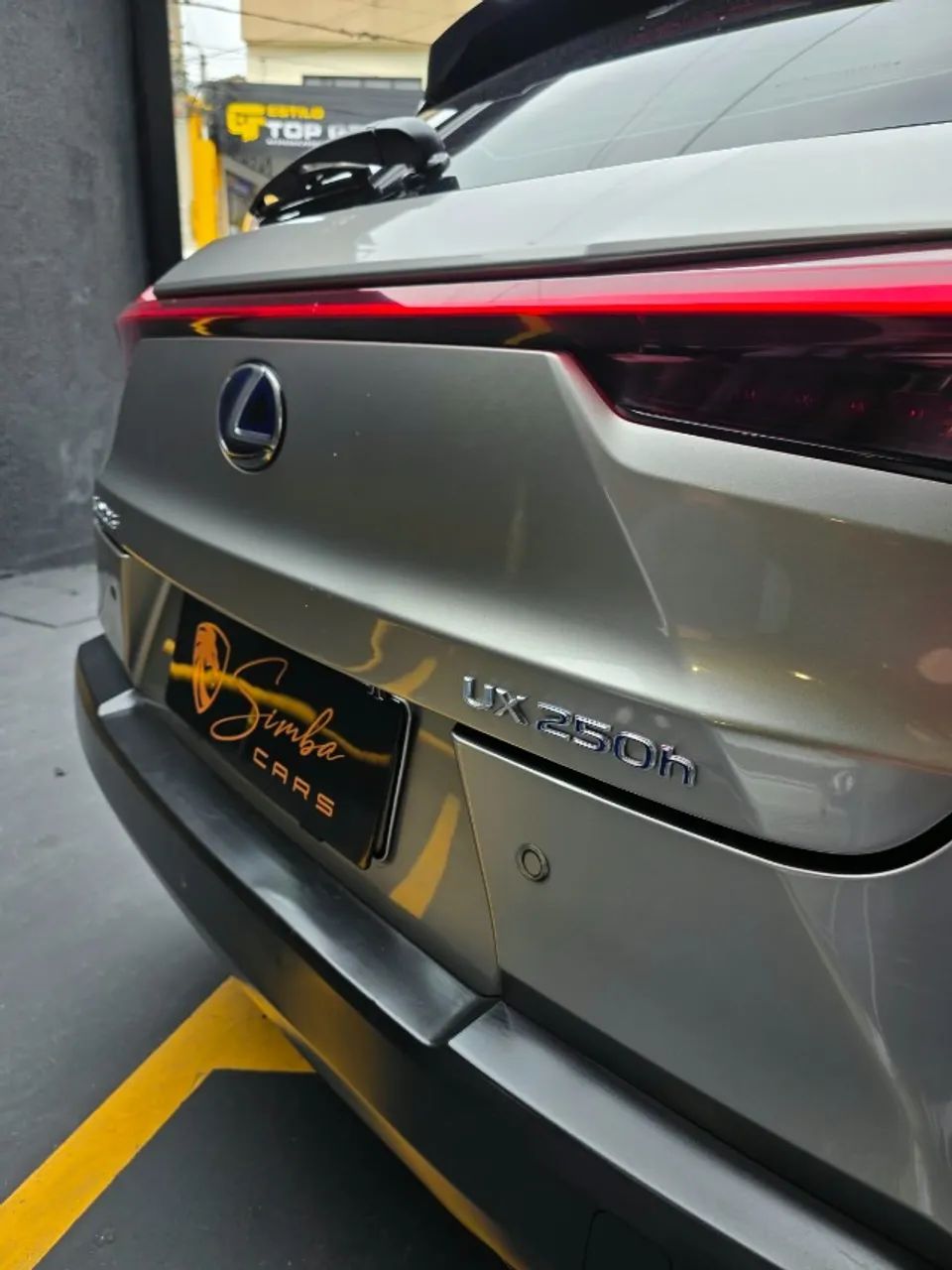 Lexus UX-250h Luxury 2.0 16V Aut.(hybrid), foto 6 de 19
