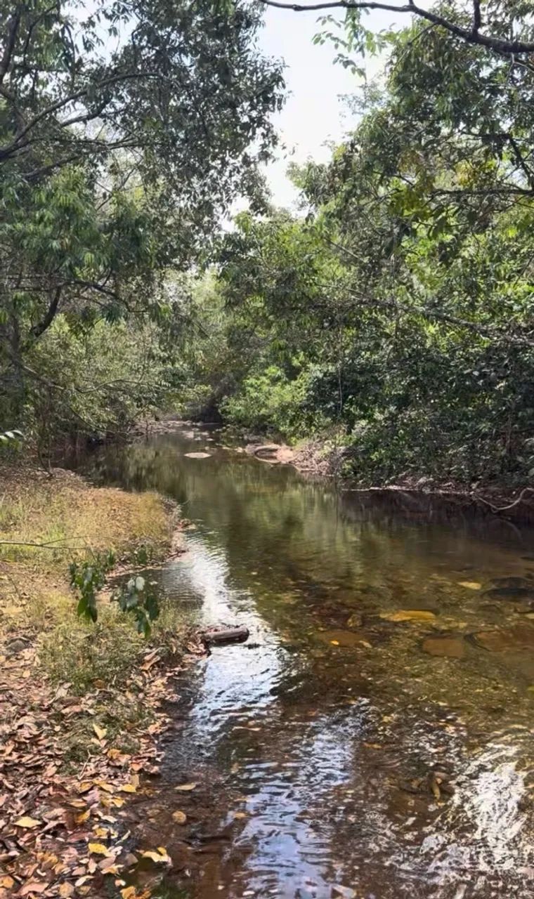 Chácara com Rio Ribeirão e cachoeira  - Foto 2