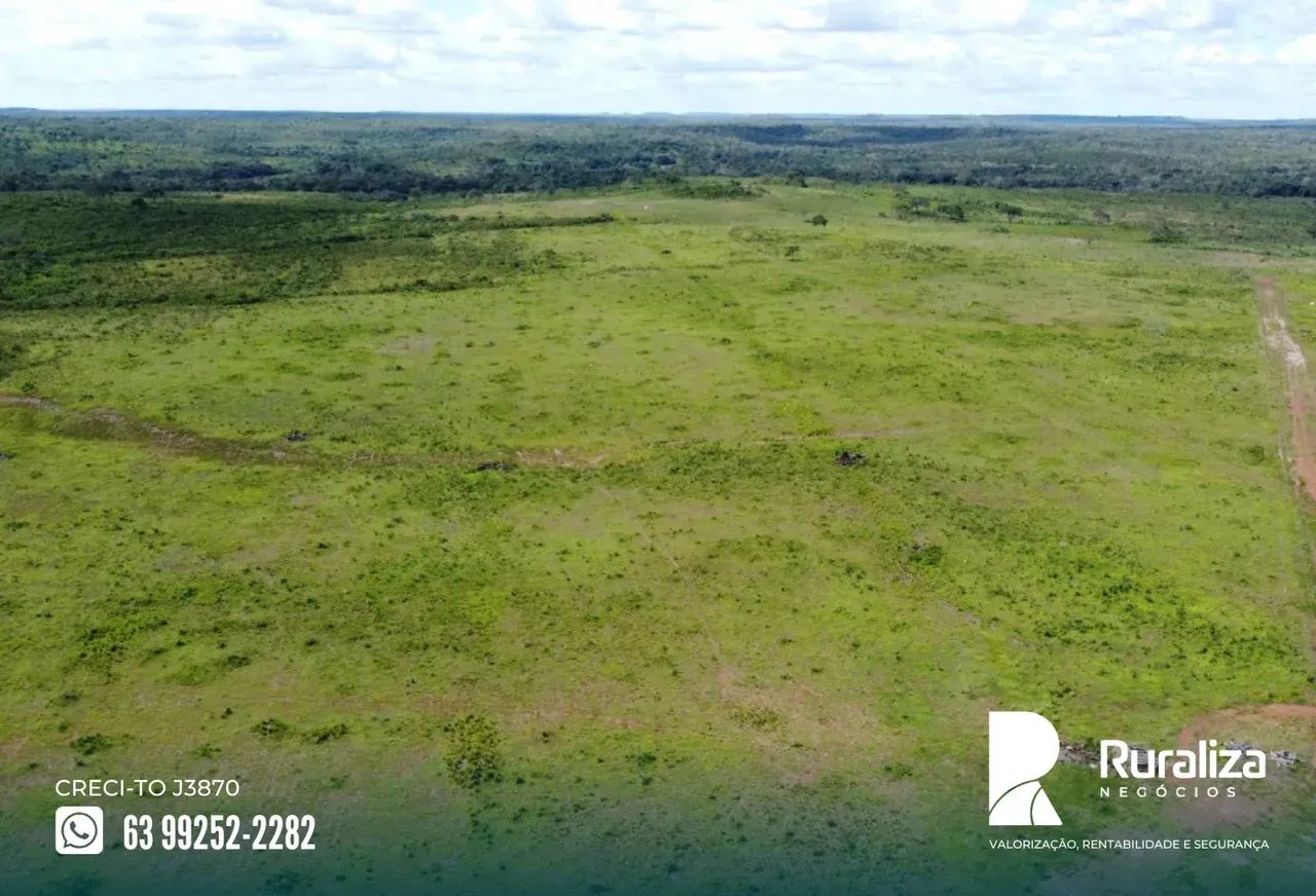 900 RESES/ANO | 320 ALQUEIRES | 850 HA FORMADOS - Foto 2