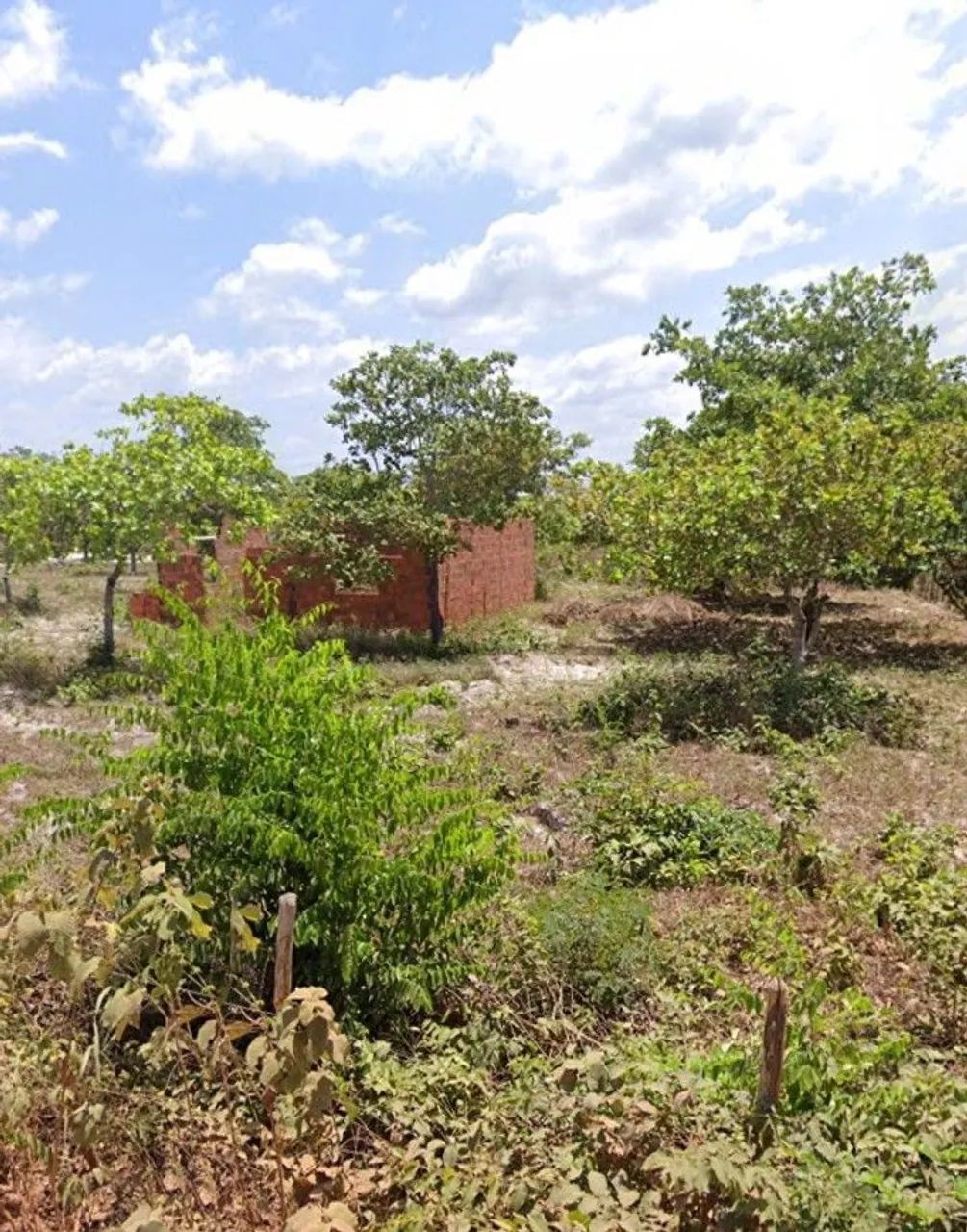 TERRENO COM CASA EM PARAIPABA LAGOINHA  - Foto 3