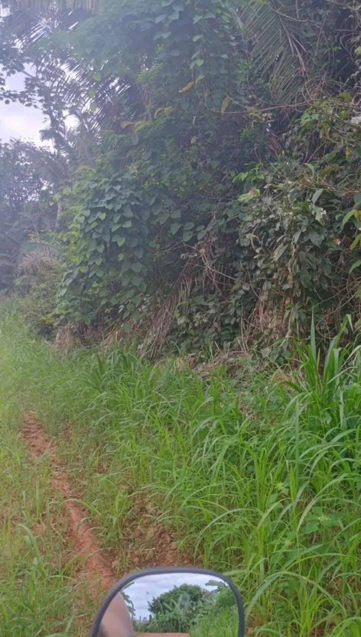 Escritura partilhada - Foto 2