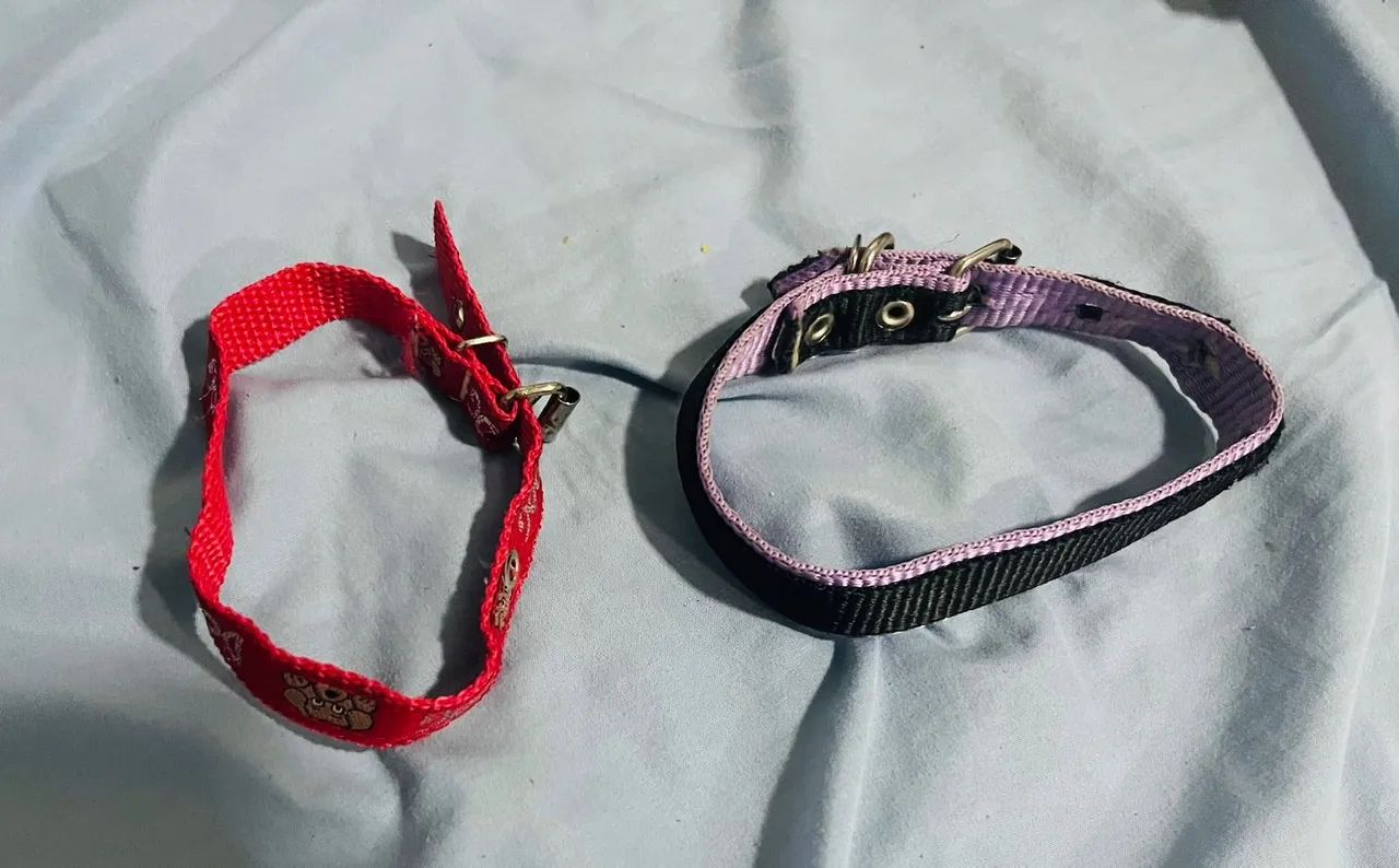 2 Coleira de Pescoço Pra Cachorro Novas