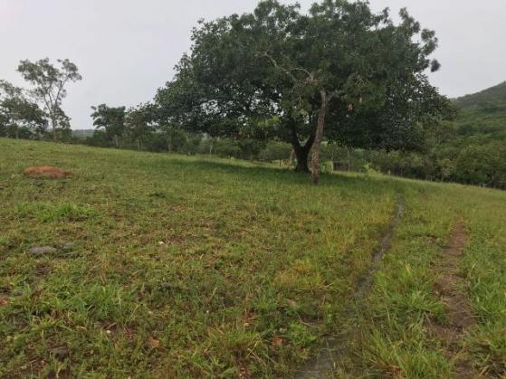 86 Alq 140 km de Goiânia - Foto 11