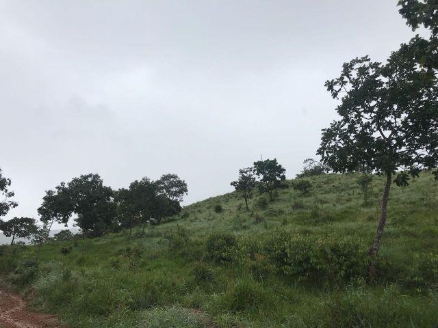 86 Alq 140 km de Goiânia - Foto 3
