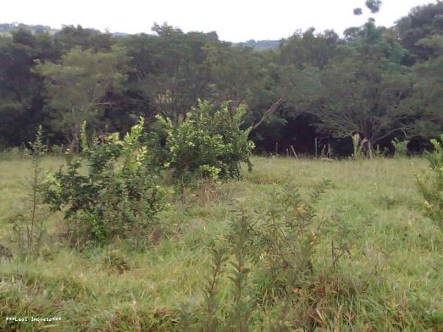 Sítio para Venda em Presidente Prudente, RANCHO QUARTO DE MILHA - Foto 8