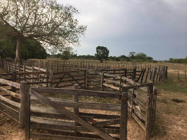 Fazenda 9.715 hectares no pantanal de Poconé MT - Foto 16