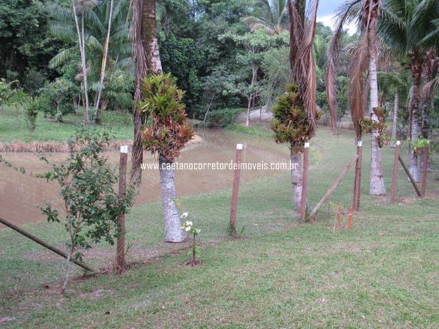 Caetano Imóveis - Sítio com natureza exuberante e muita água (lugar apaixonante) - Foto 3