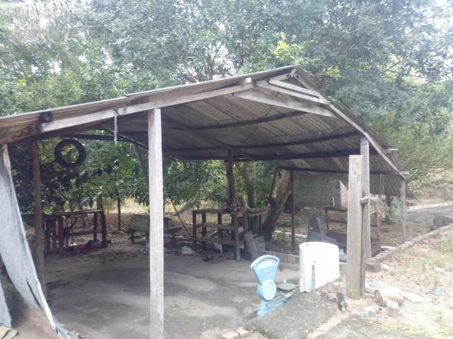Sítio serra são vicente - Foto 15