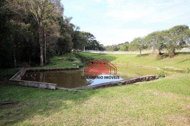 Chácara toda documentada com área de 36.000 m² (1,5 alqueire), toda cercada, com 4 tanques - Foto 19