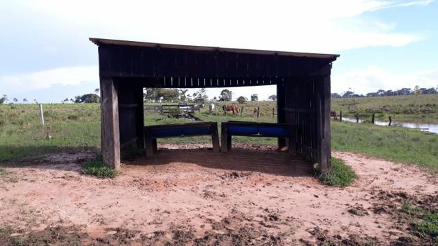 Fazenda no Acre - Foto 4