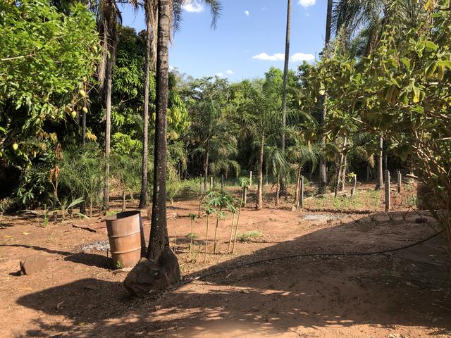 Vendo chácara próximo ao shopping bosque dos Ipês - Foto 12